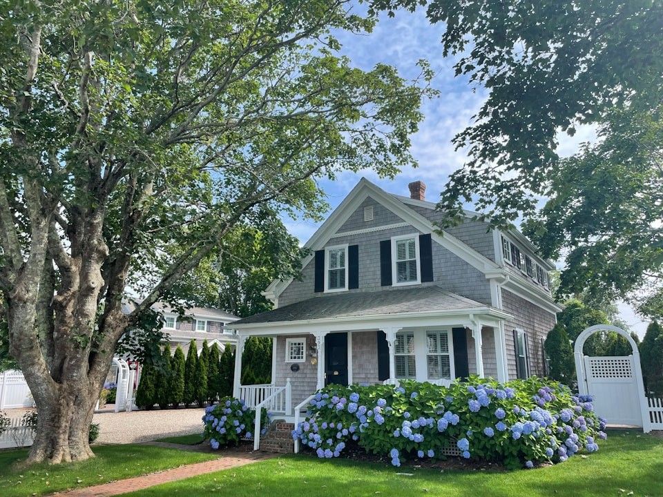 Shingled two-storey house with blue hydrangeas along the front garden under large trees