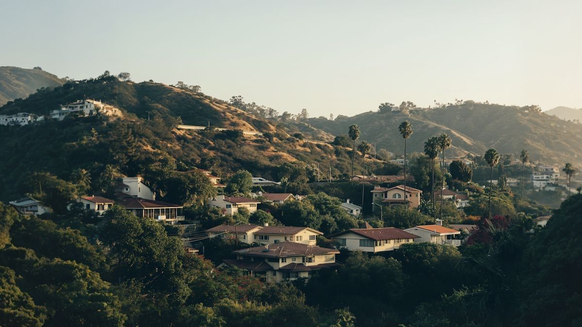 A hillside suburb of houses among trees, seen in warm late-afternoon light